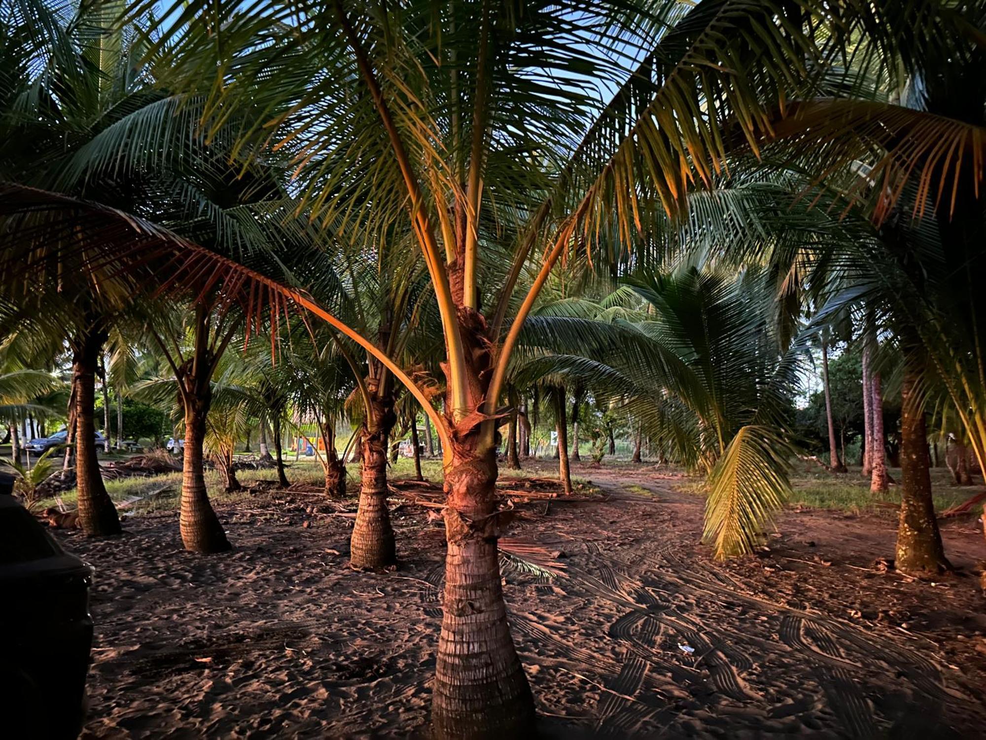 Casa Paraiso Tropical パリタ エクステリア 写真