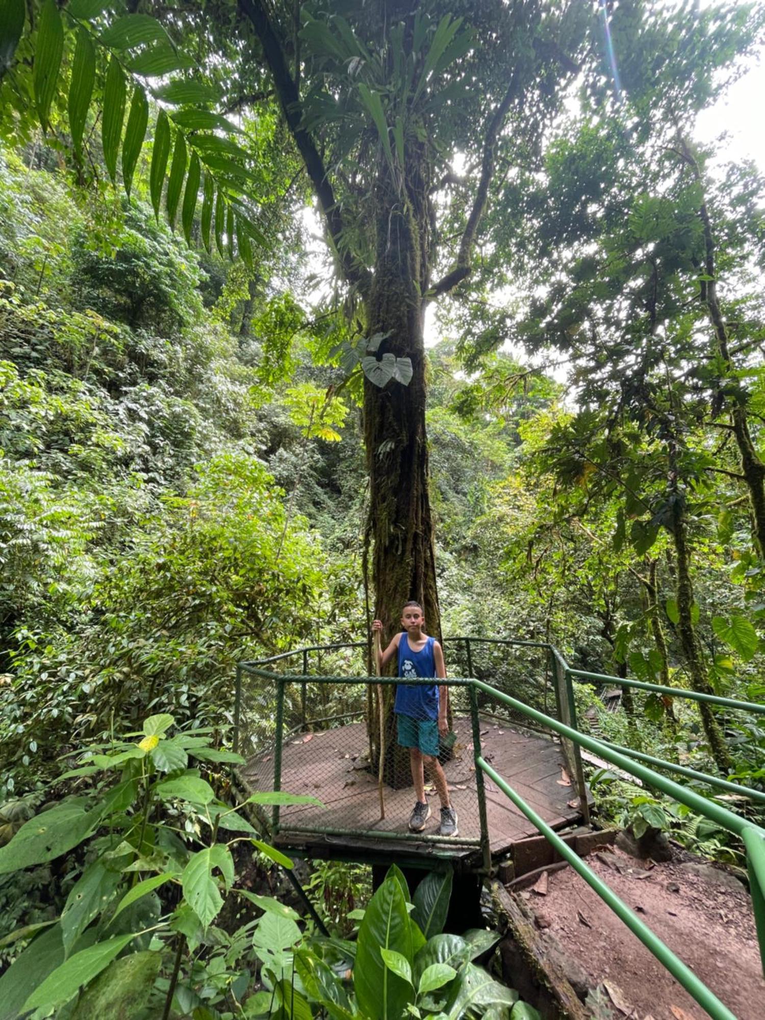 Casa Paraiso Tropical パリタ エクステリア 写真